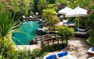 Poppies Bali